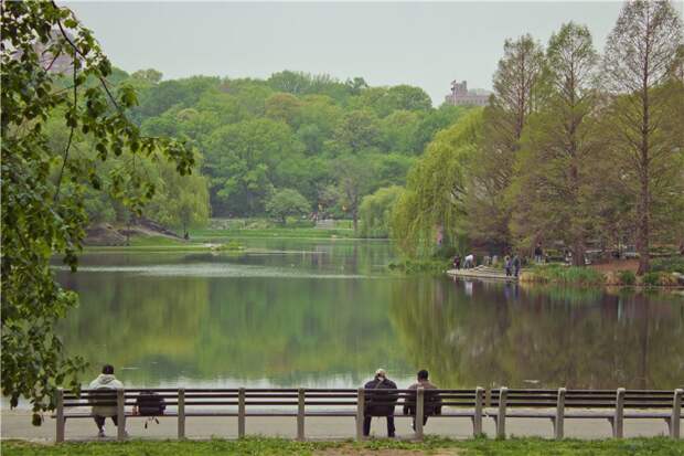 Озеро Harlem Meer. США глазами туриста, туризм, факты