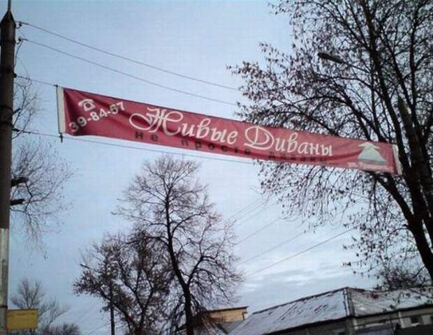 Картинки, юмор, приколы