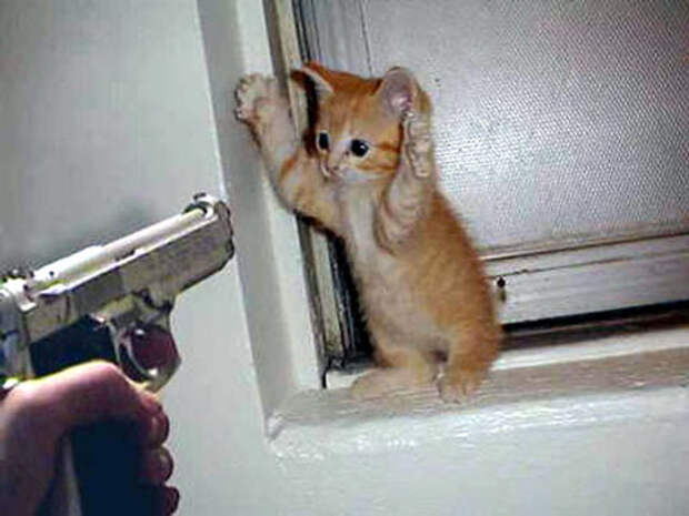 Смешные фотографии