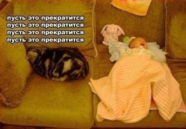 Прикольные фотомемы на Бугаге (33 шт)