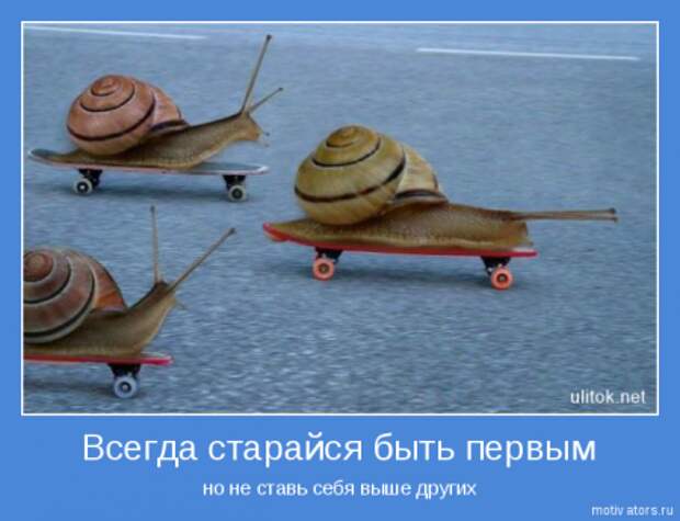Мотиваторы для раздумий.