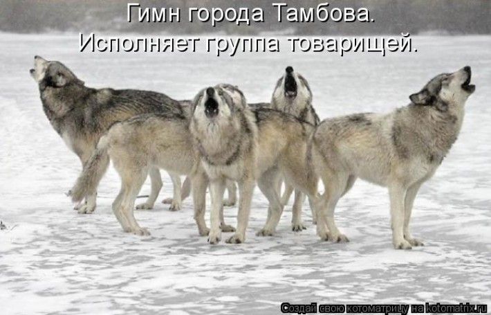 Мысли вслух :)  №25714