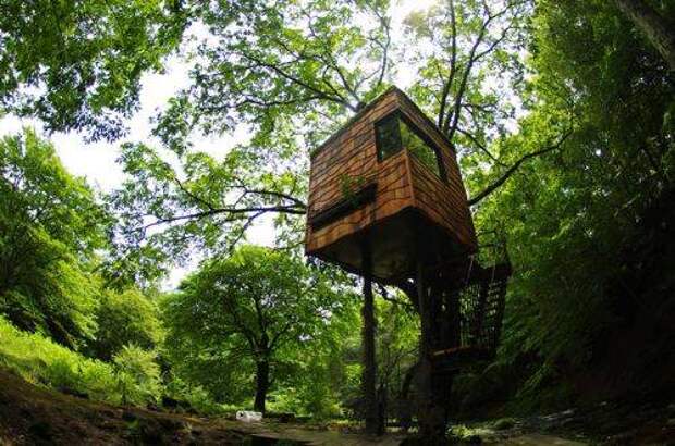 b2ap3_thumbnail_treehouses-10.jpg