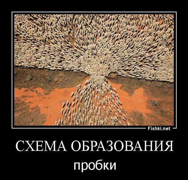 Демотиваторы демотиваторы, прикол, смех, юмор