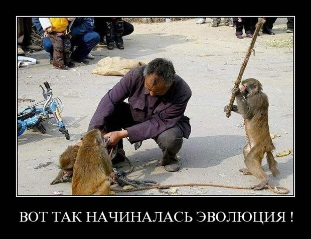 Демотиваторы (107 фото)