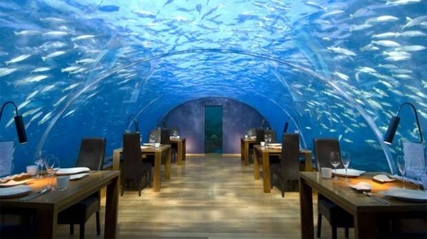 11. Подводный ресторан Ithaa Undersea Restaurant интересное, мир, ресторан