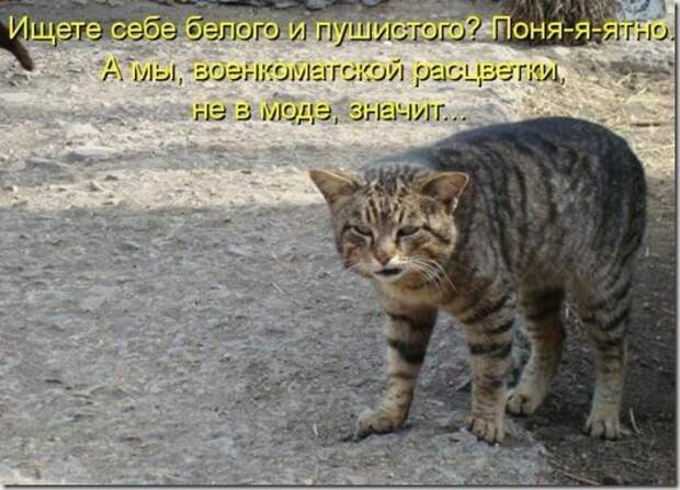 ec40cba74dba239ac74b8103836_prev