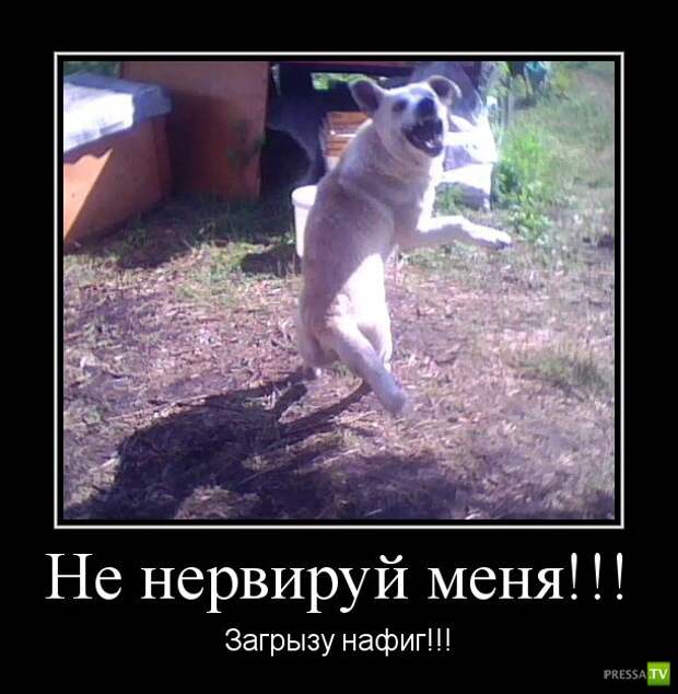 Демотиваторы на июль, часть 15 (29 фото)