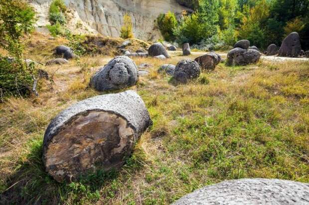 На нашей планете существуют каменные колонии, имеющие все признаки живых существ