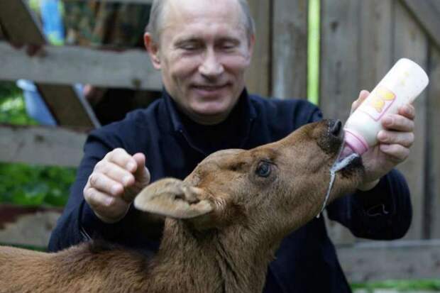 Интересные факты о Владимире Путине. жизнь, президент, факты