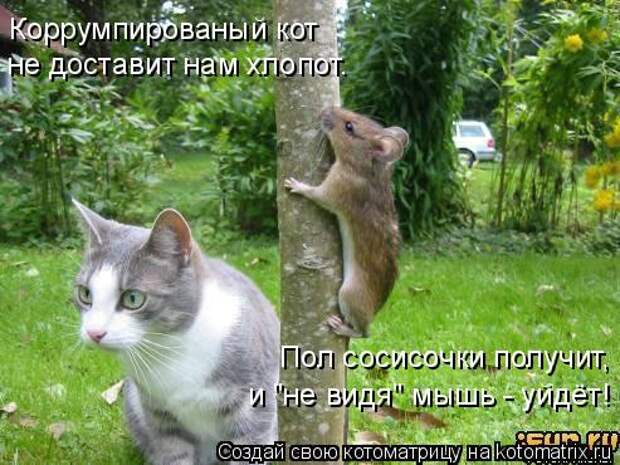 Мысли вслух :)