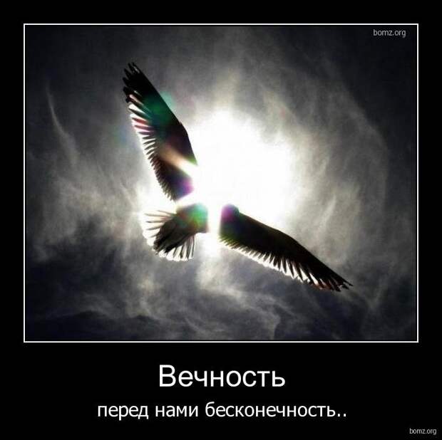 Демотиваторы о любви и просто серьезные.