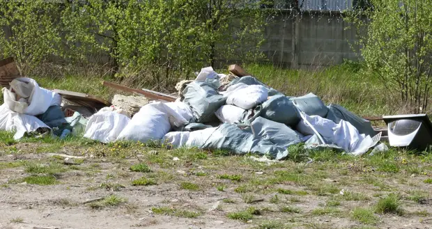 Прокуратура обнаружила незаконную свалку на Петергофском шоссе