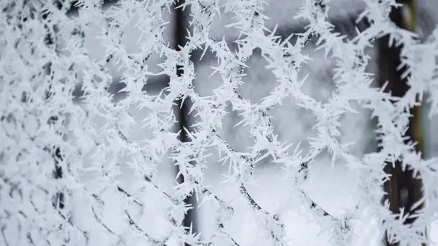 Синоптики рассказали, когда в Московский регион придут первые заморозки