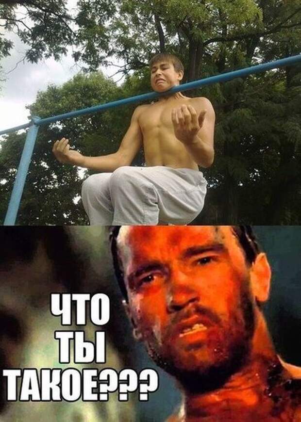 Отличные фото-приколы дня (61 шт)