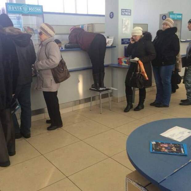 Прикольные картинки картинки, юмор
