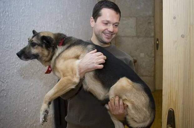 Илья держит на руках Тобика, собаку с двумя ампутированными лапами