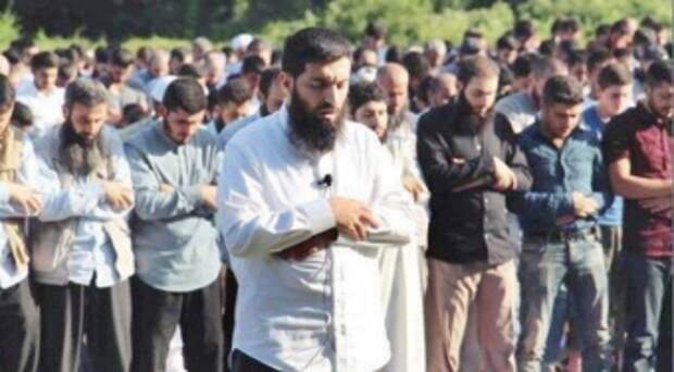 Последние новости мира. Афганистан, США, Турция, Франция