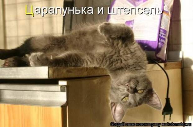 Отличная коллекция котоматриц (25 шт)