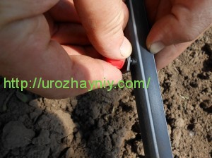 Система капельного полива в теплице