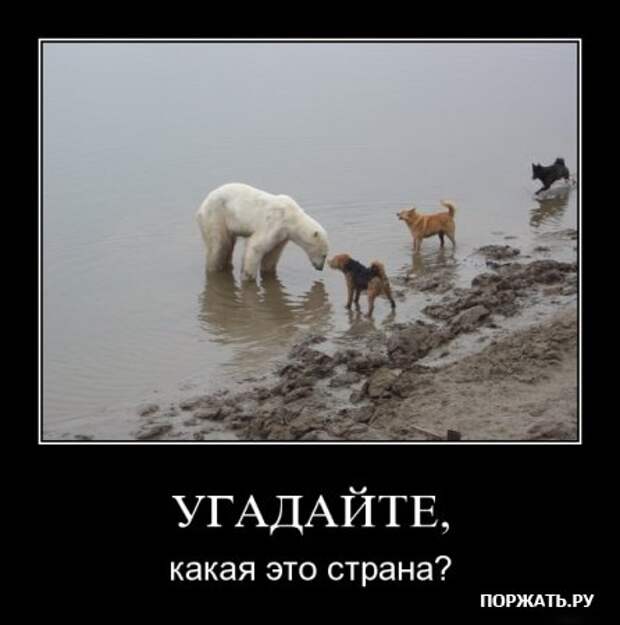 Демотиваторы, новенькое