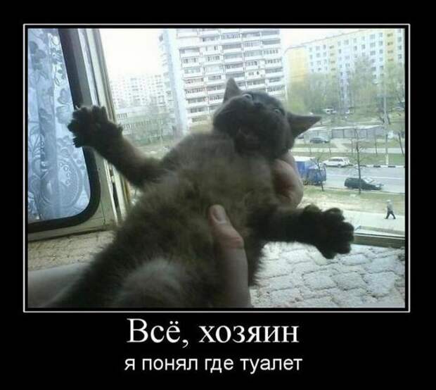 Сборник моих демотиваторов демотиватор, сборник
