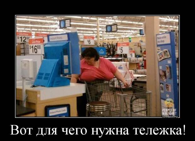 Демотиваторы  демотиваторы, прикол, смех, юмор