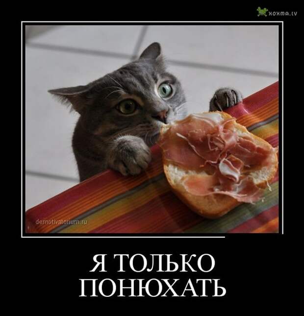 Демотиваторы. Часть 545 (30 картинок)
