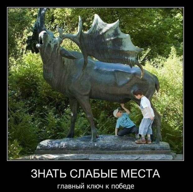 Демотиваторы 20.02.11