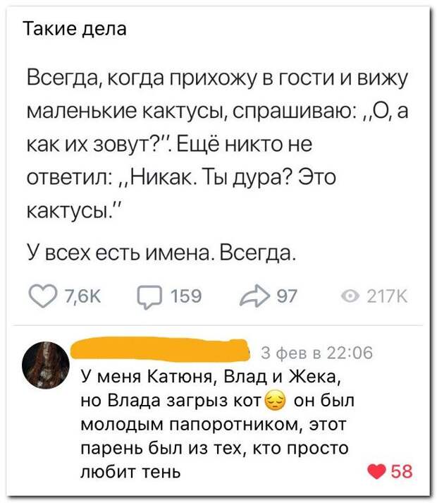 setey-socialnyh-kommentarii-citaty-vkontakte-vkontakte-smeshnye-statusy