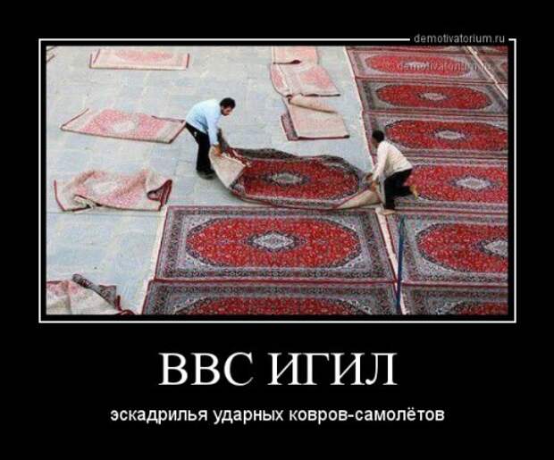 Новые демотиваторы-приколы (14 шт)