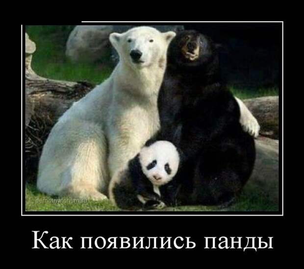 27 демотиваторов дня от 26-02-2015