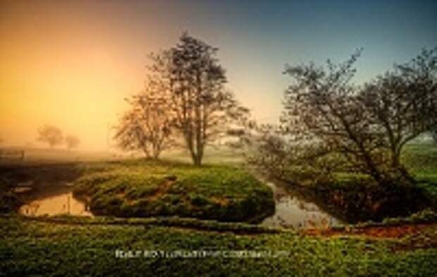 ФОТОГРАФ MIKE SHAW 18