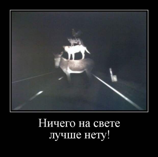 Подборка демотиваторов  демотиватор, юмор
