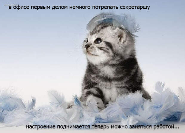Пятница