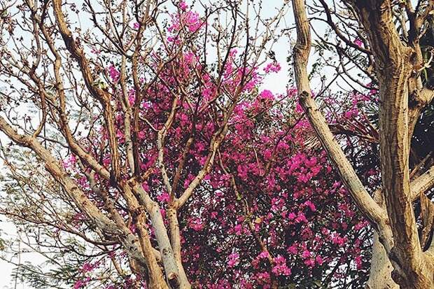 Moving2bangkok05 Как переехать в Бангкок и почему не на остров: личный опыт