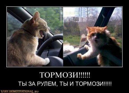 Демотиваторы смешные, с приколами к понедельнику то что надо!!!