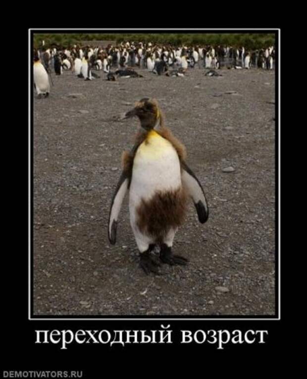 Большая подборка смешных демочек.