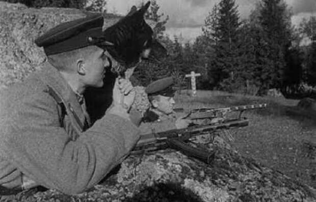 Март 1945: Ликвидация бандеровцев у горы Монастырь На заглавном фото. Наряд пограничников в Прикарпатье