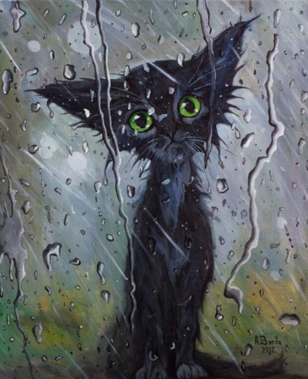 Прости меня.. (котенок под дождем) - анимационные картинки и gif открытки