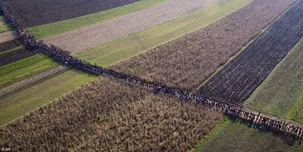 Британская пресса ужаснулась снимкам марширующей по Балканам колонны мигрантов.