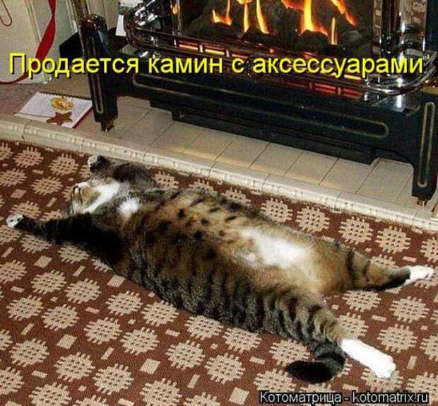 Котоматрицы(картинки с надписями)