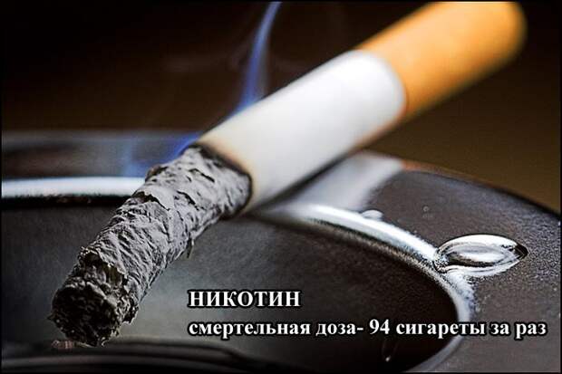 Дозы, которые могут быть смертельными для человека