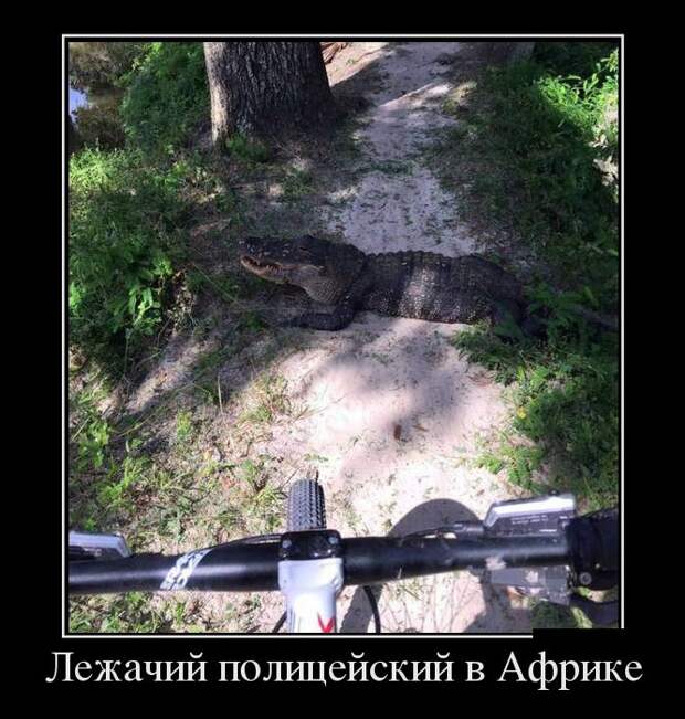 Демотиваторы (30 фото)