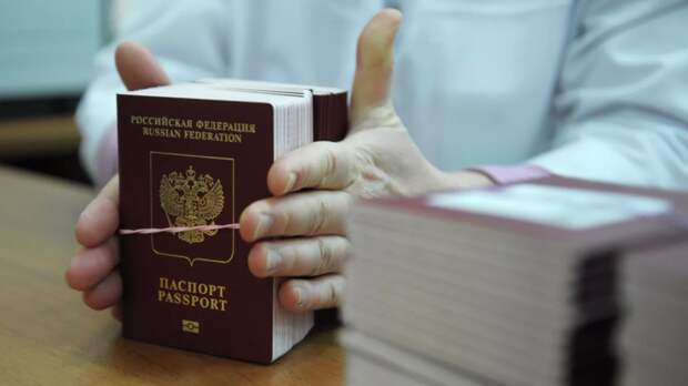 Генконсул Черкашин сообщил о росте спроса на российские паспорта в Зальцбурге