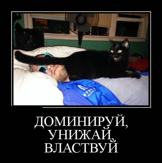 Демотиваторы демотиваторы, юмор