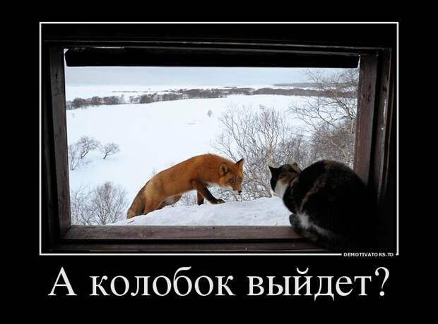 А колобок выйдет гулять картинка