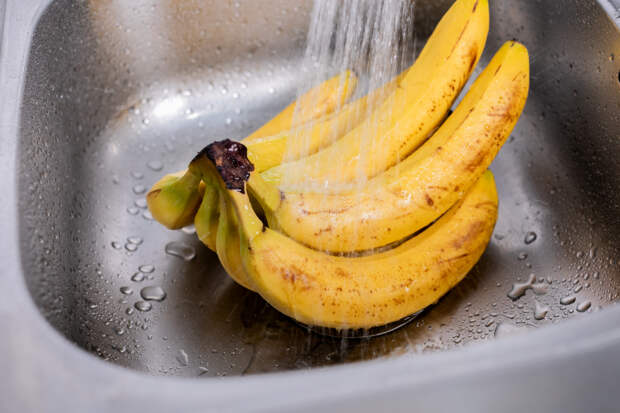 Россиянам назвали способы избежать заражения вирусом Нипах