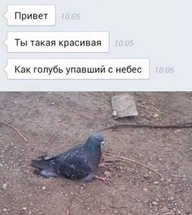 фото вызывающие приступы смеха