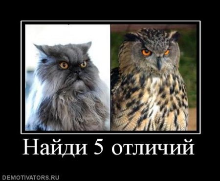 Демотиваторы всякие, смешнее не придумаешь.